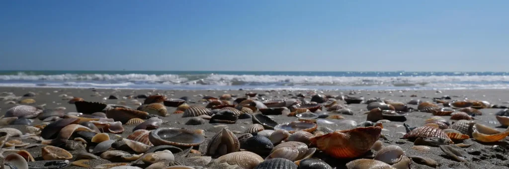 water and sand copertina
