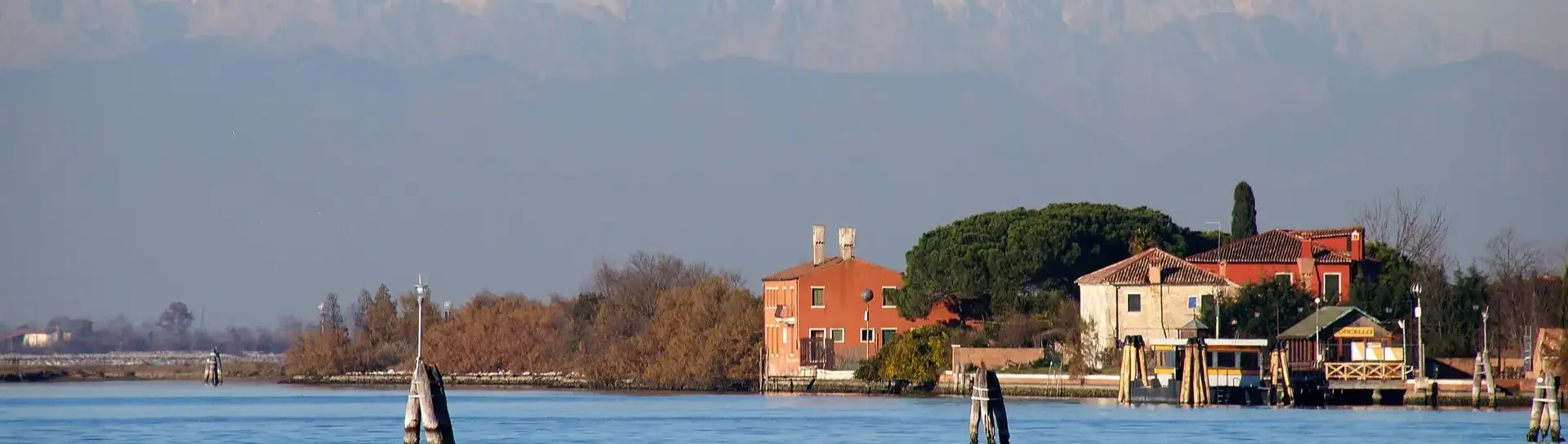 hidden shots copertina